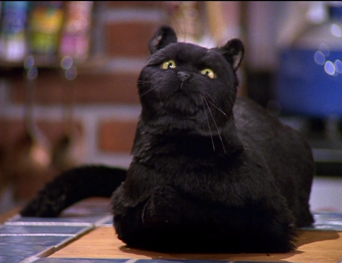 Salem