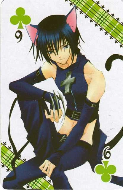 Ikuto/Black Lynx